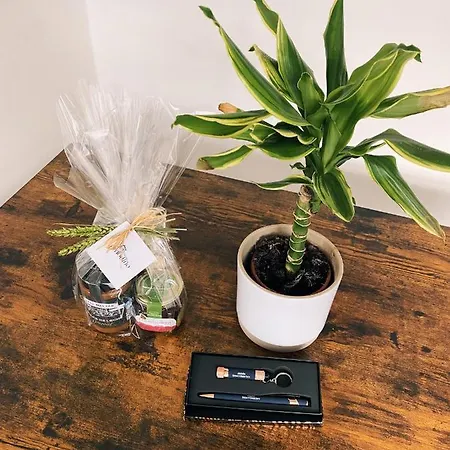 Casa Amodino Appartamento