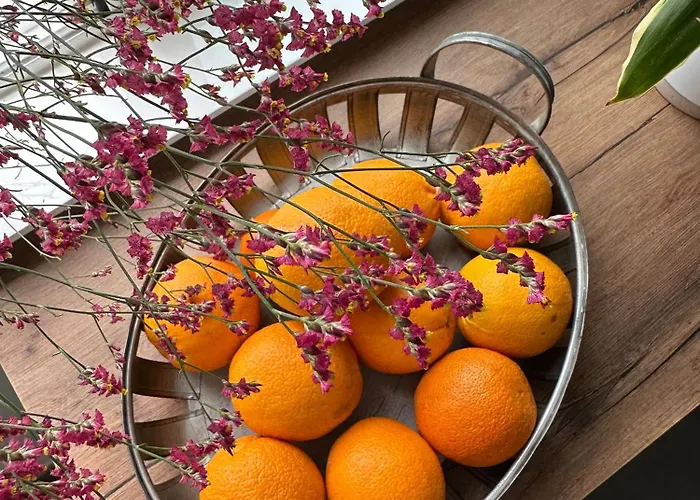 Casa Amodino 公寓 *